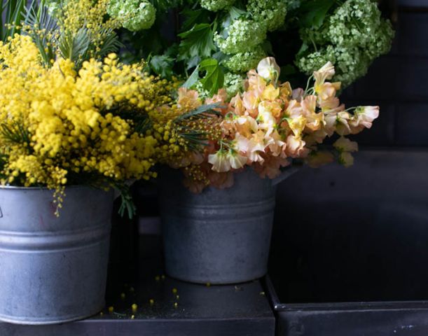 Floral + Chocolates Workshop with McQueens + Hakan